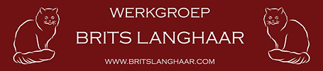 Werkgroep Brits langhaar